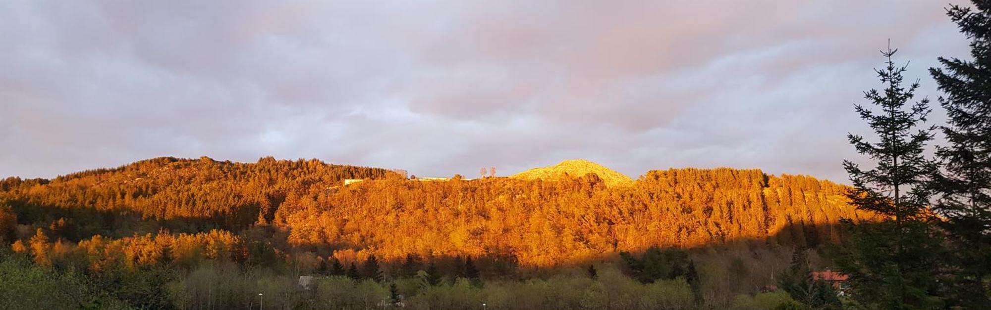 Fjordclaw Snm- Adjoining The Bergen City & Nature Exterior photo